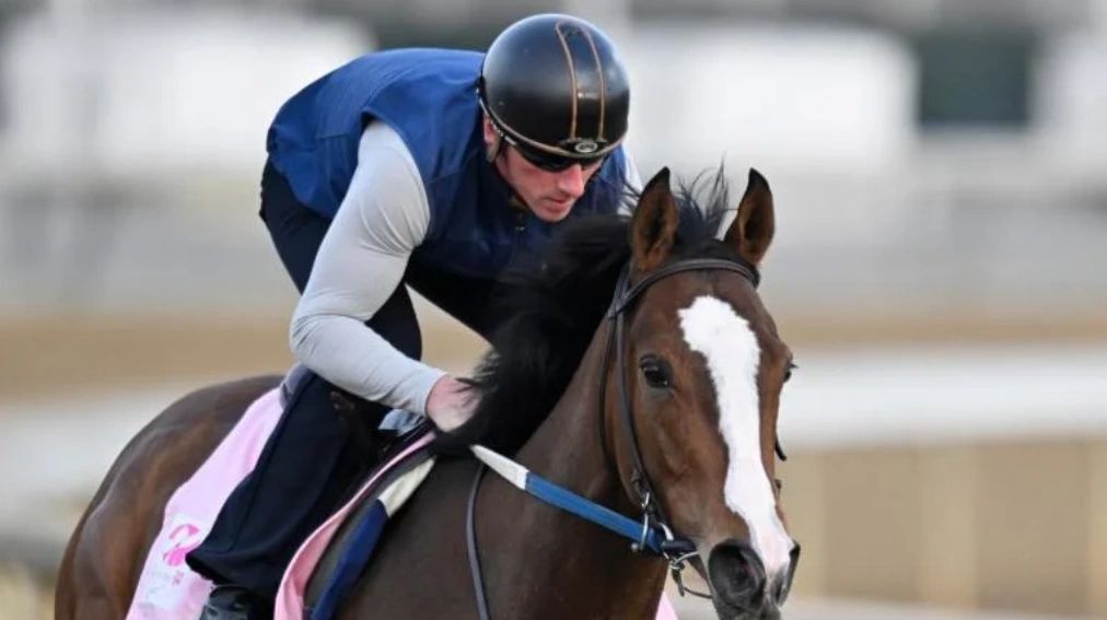 Kentucky Derby 2023 odds, predictions for the win, place, exacta😀